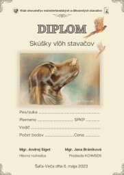 Diplom SVS Šaľa-Veča, 6. máj 2023